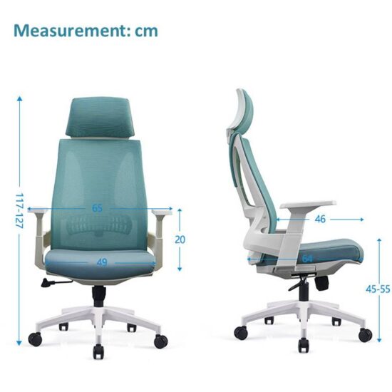 Moritz Ergonomic Chair Adjustable Lumber Support Teal Blue